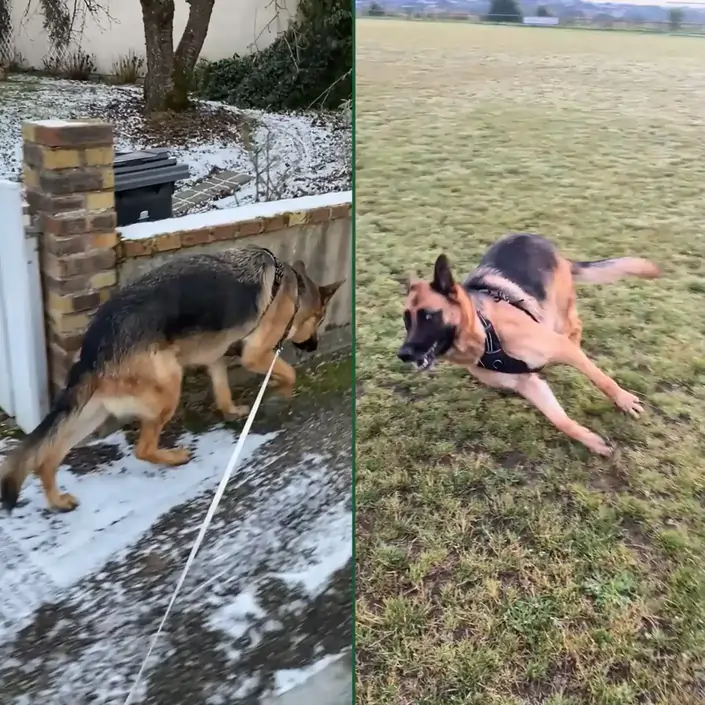Before After thumbnail