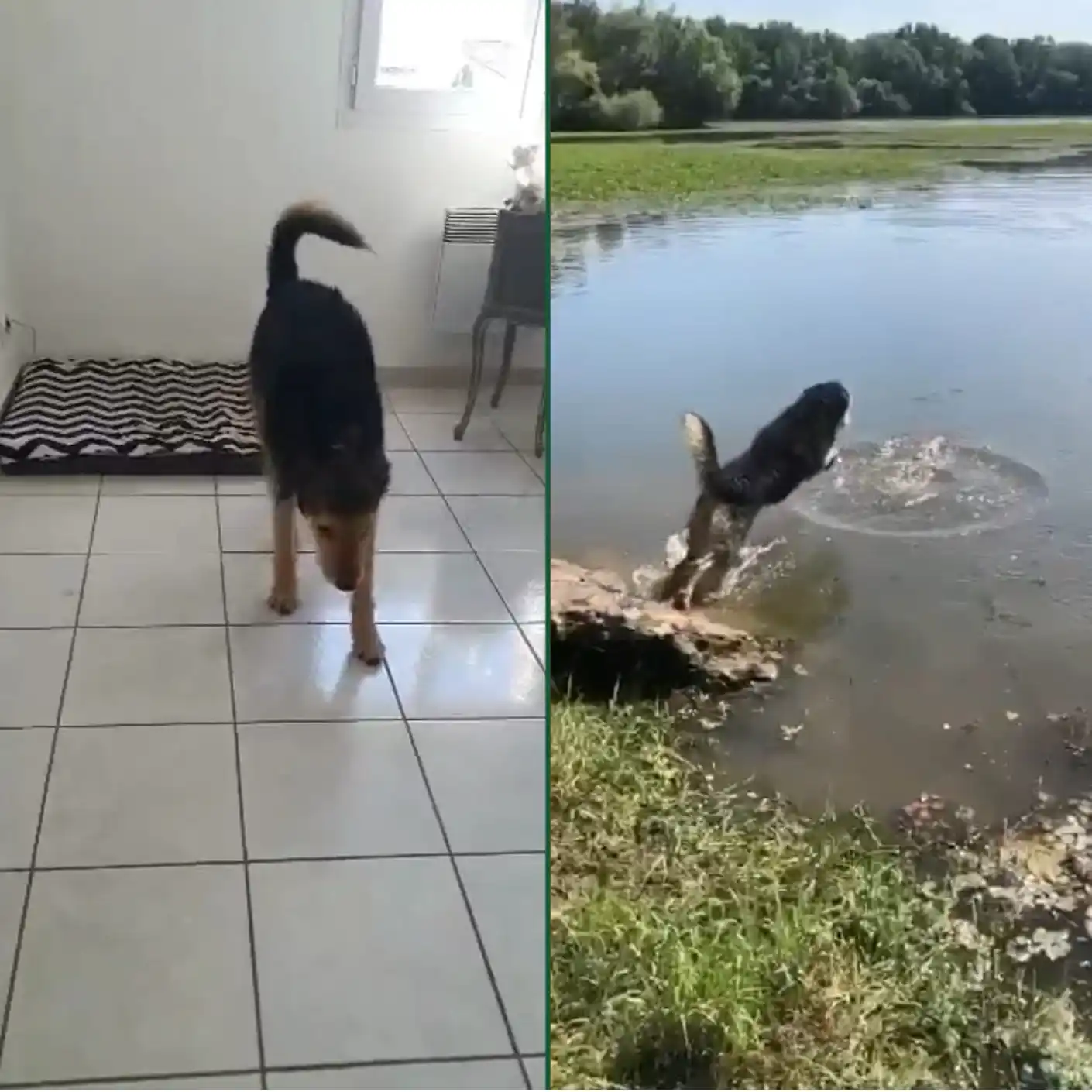 Before After thumbnail