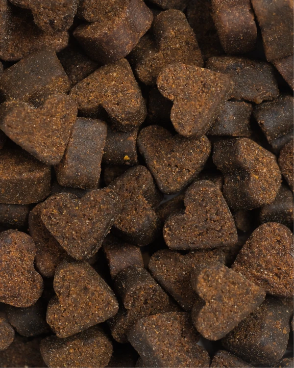 Articulaciones texture