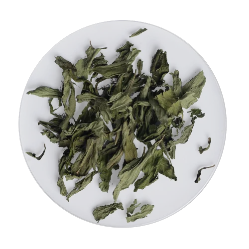 Equinácea púrpura image