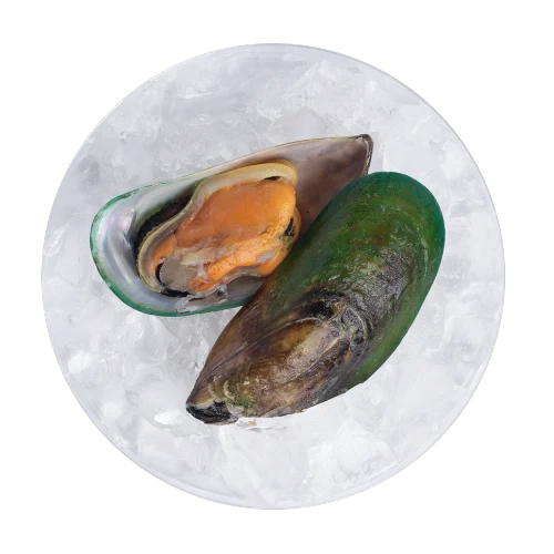 Mejillón de labios verdes image