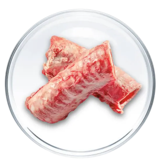 Condroitina image