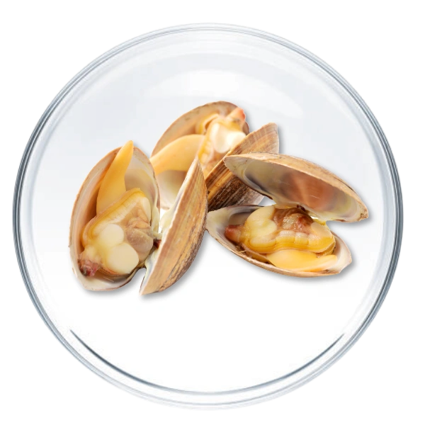 Glucosamine Ingredient