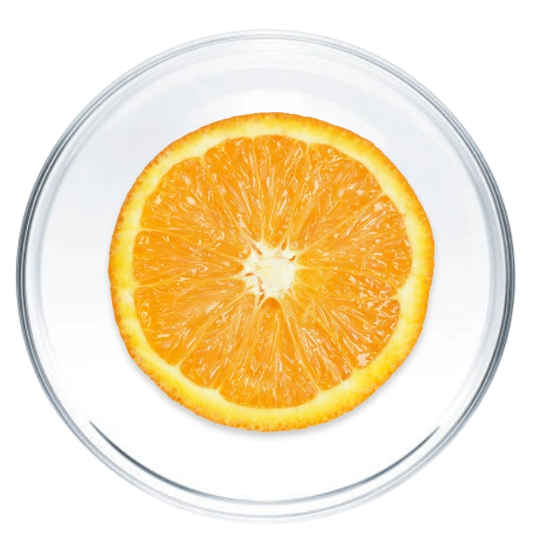 Vitamina C image