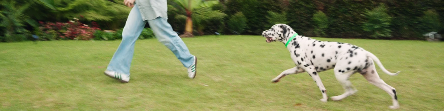 Block 1 Banner Desktop