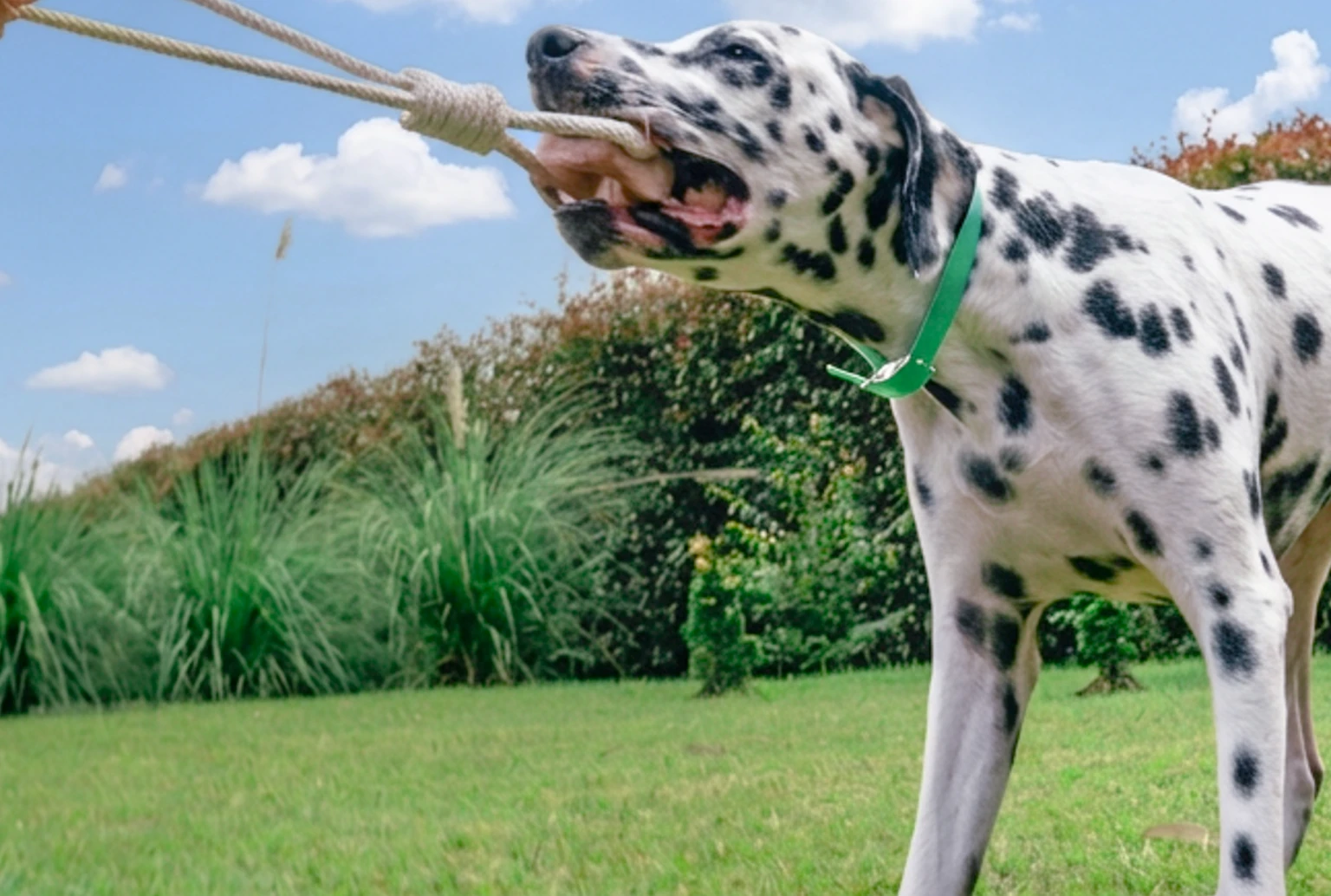 Block 2 Banner Mobile