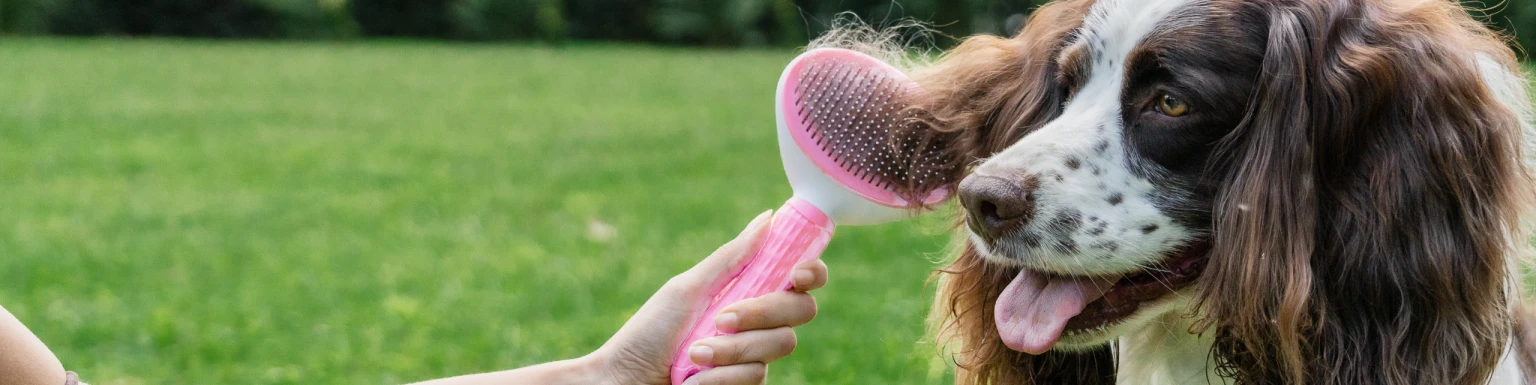 Block 3 Banner Desktop