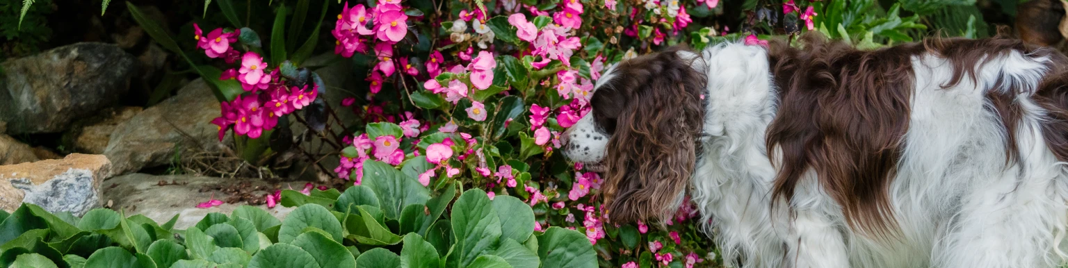 Conclusion Banner Desktop