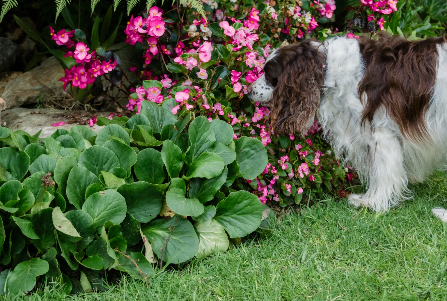 Conclusion Banner Mobile