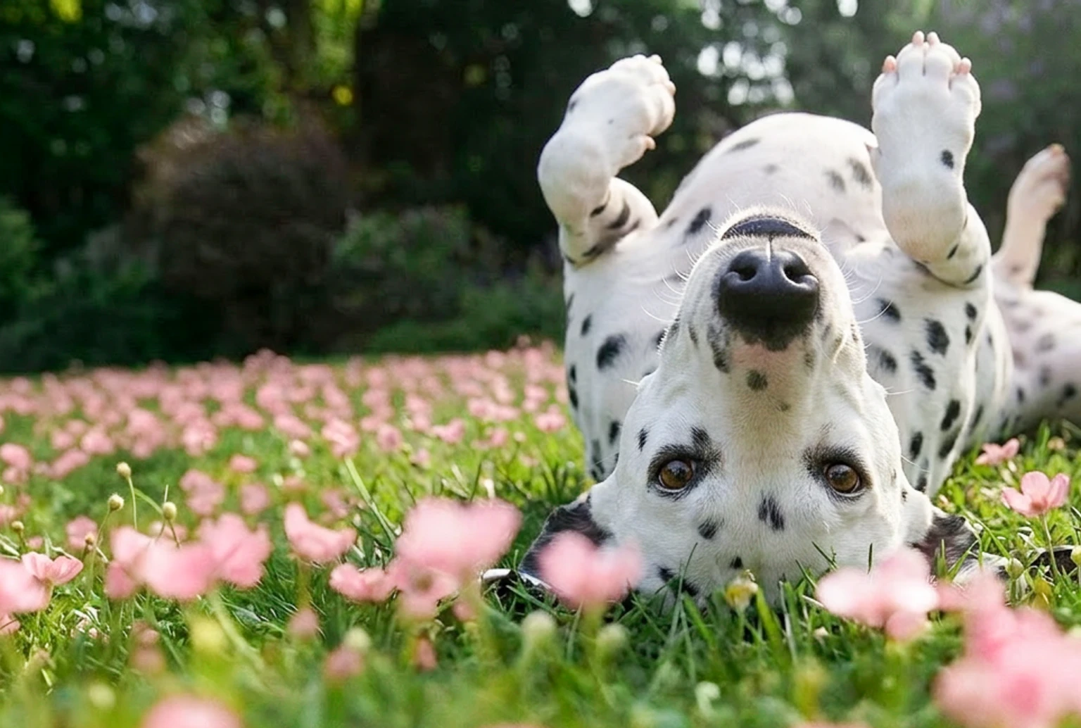 Conclusion Banner Mobile