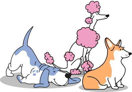 Dog Instagram Carousel