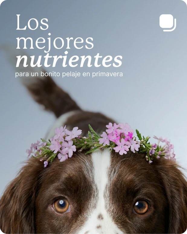 Instagram Carousel Placeholder 1