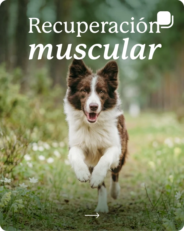 Instagram Carousel Placeholder 3