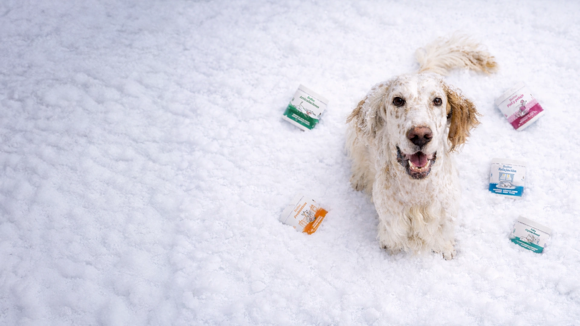 Winter campaign hero